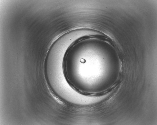 X0000066100842200603131228