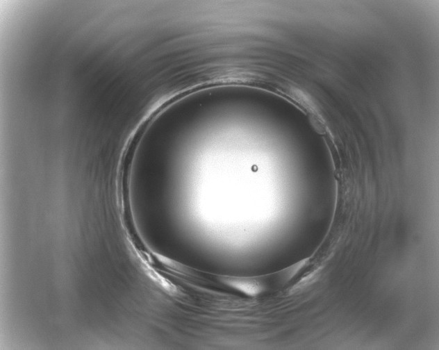 X0000066100843200603131228