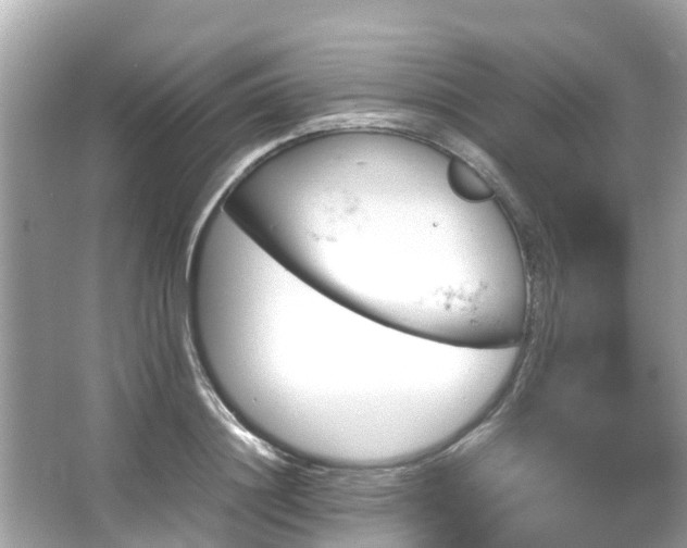 X0000066100844200603131228