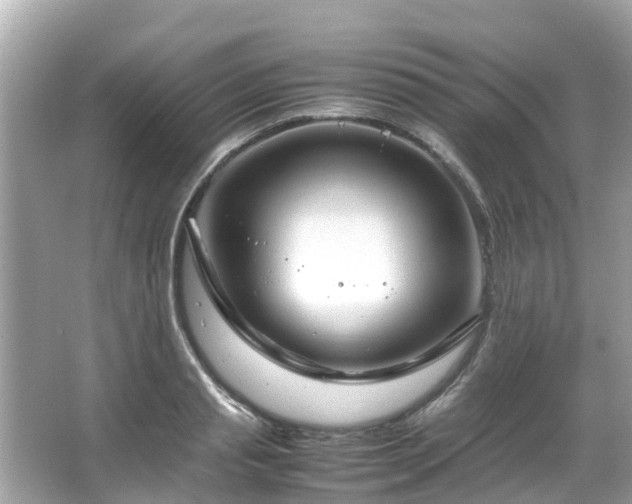 X0000066100845200603131228