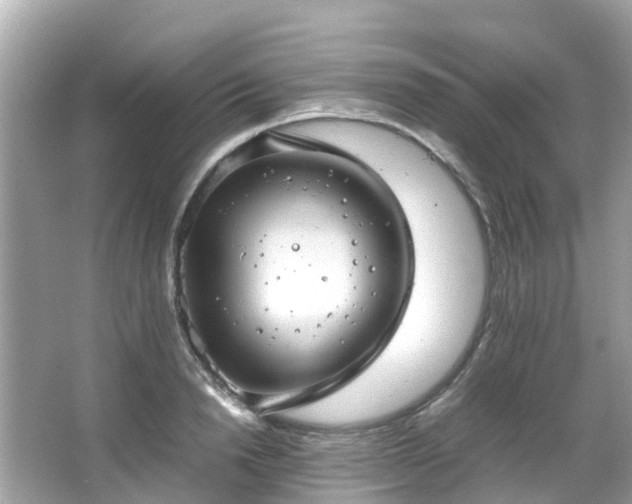 X0000066100846200603131228