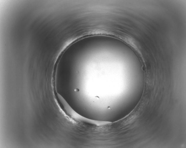 X0000066100847200603131228