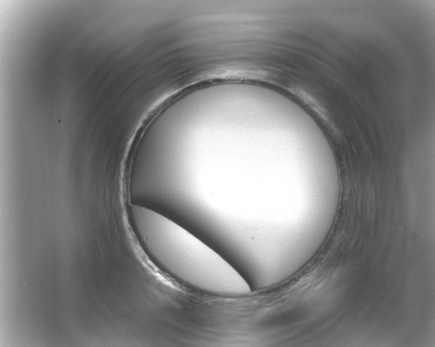 X0000066100848200603131228