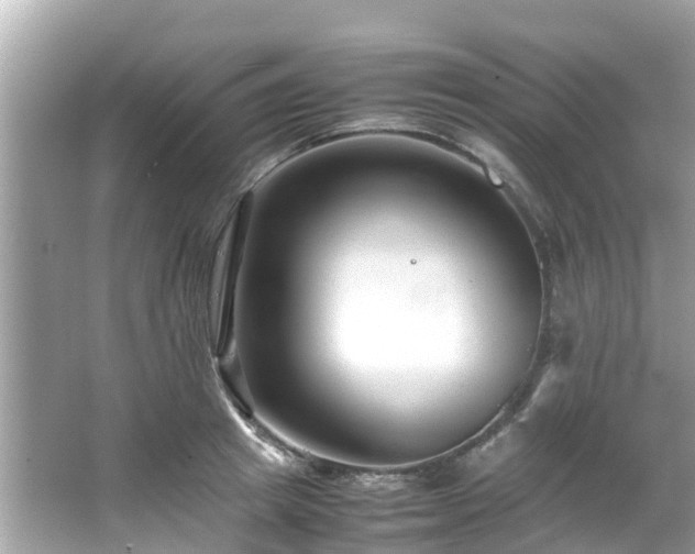 X0000066100849200603131228