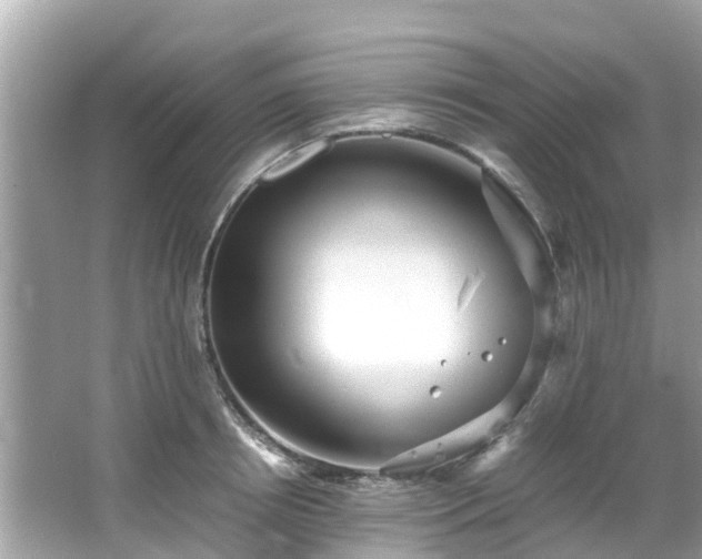 X0000066100850200603131228