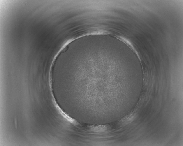 X0000066100851200603131228