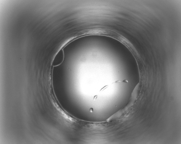 X0000066100852200603131228