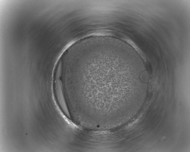 X0000066100853200603131228