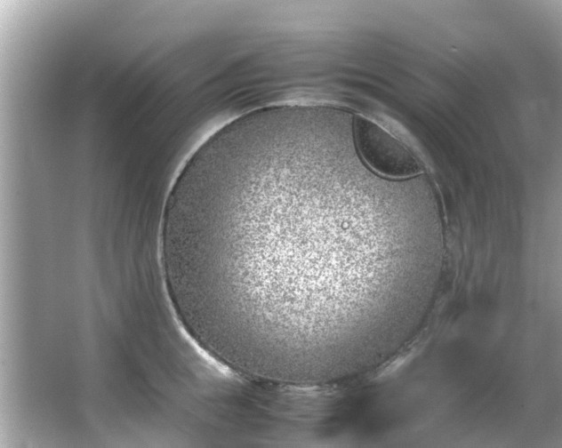 X0000066100855200603131228