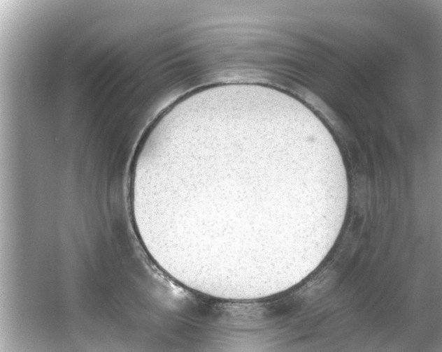 X0000066100856200603131228