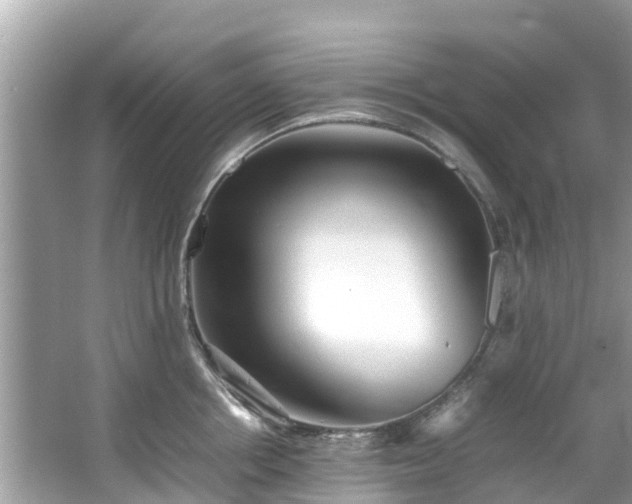 X0000066100858200603131228