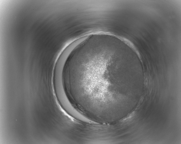 X0000066100863200603131228