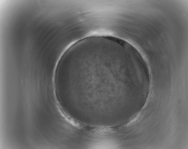 X0000066100864200603131228