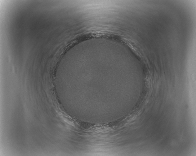 X0000066100865200603131227