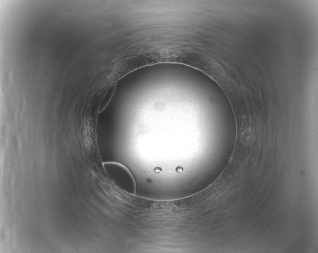 X0000066100866200603131227