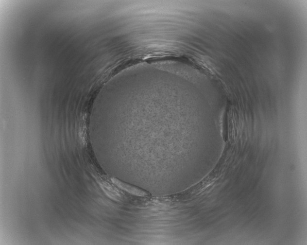 X0000066100868200603131227