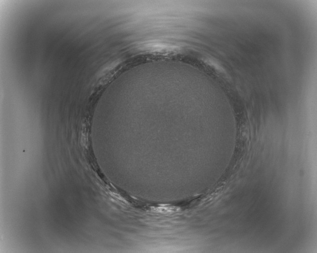 X0000066100869200603131227