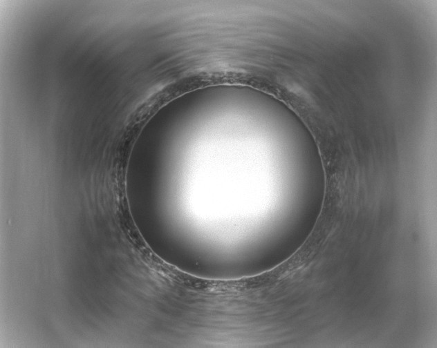 X0000066100870200603131227