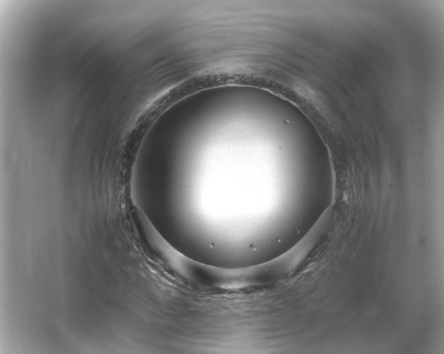 X0000066100872200603131227