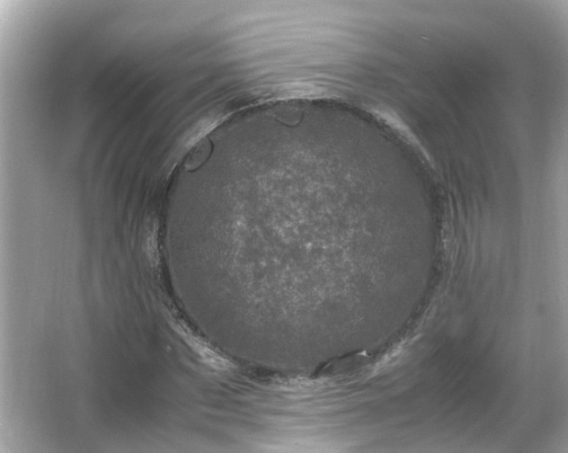 X0000066100873200603131227