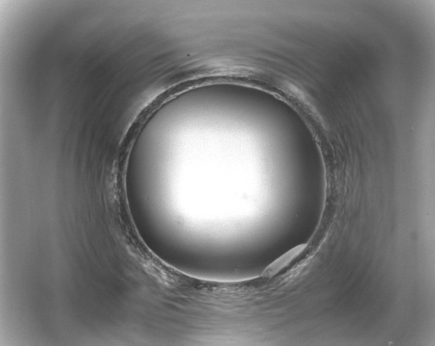 X0000066100875200603131227