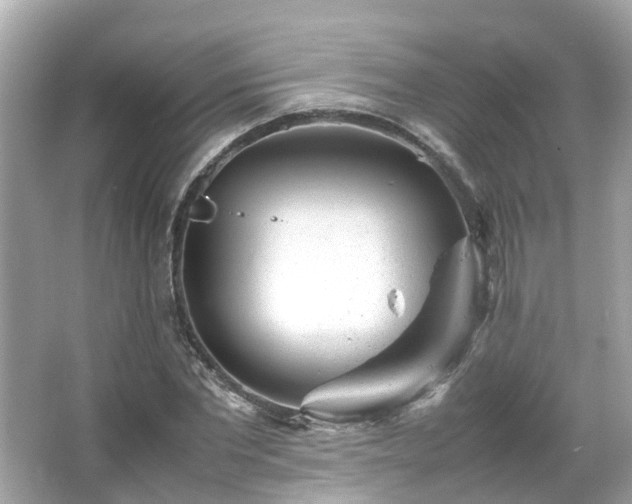 X0000066100877200603131227