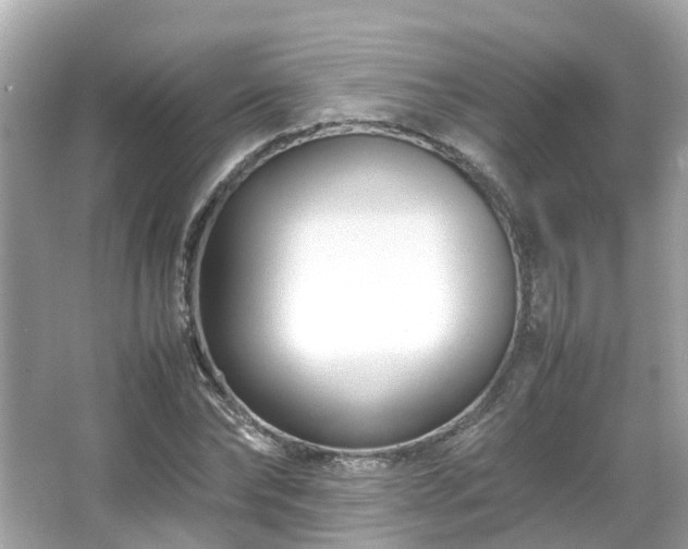 X0000066100878200603131227