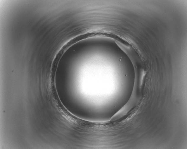 X0000066100880200603131227