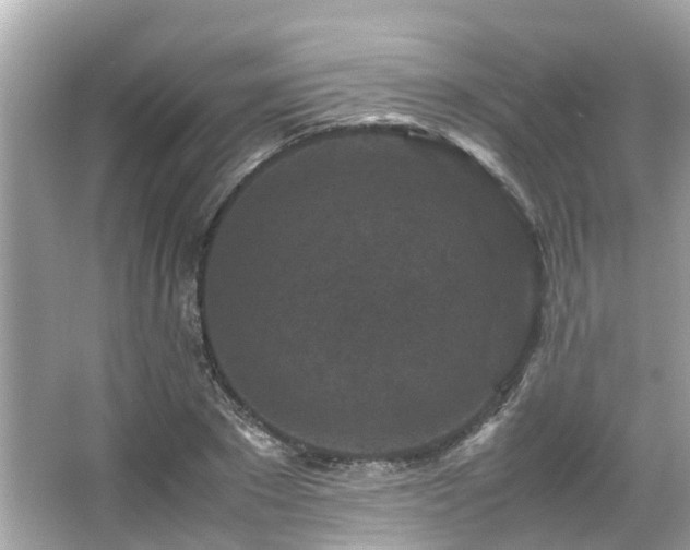 X0000066100881200603131227