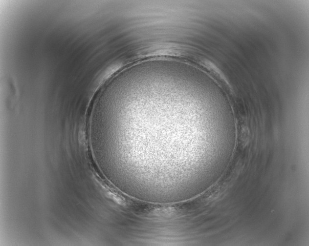 X0000066100882200603131227