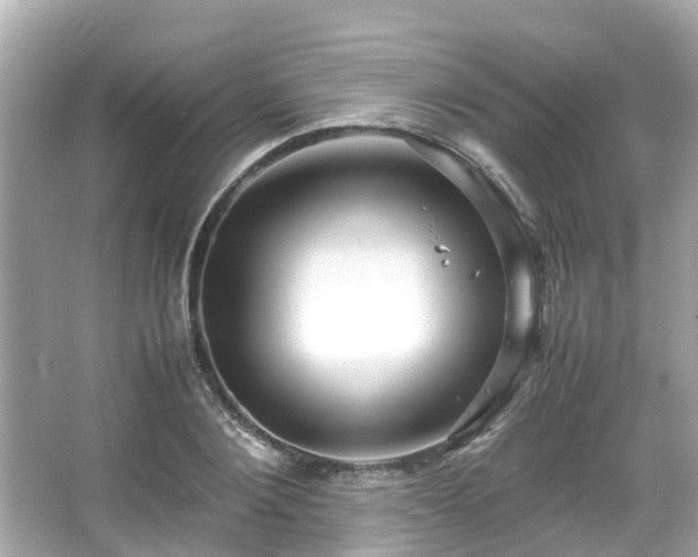 X0000066100884200603131227