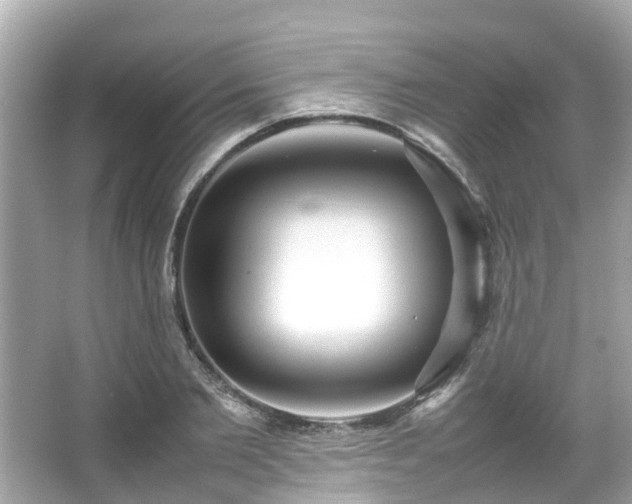 X0000066100885200603131227