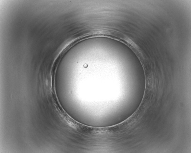 X0000066100886200603131227