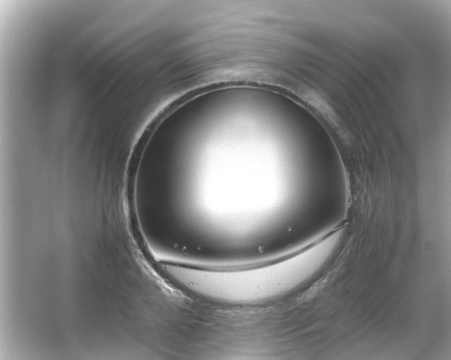 X0000066100888200603131227