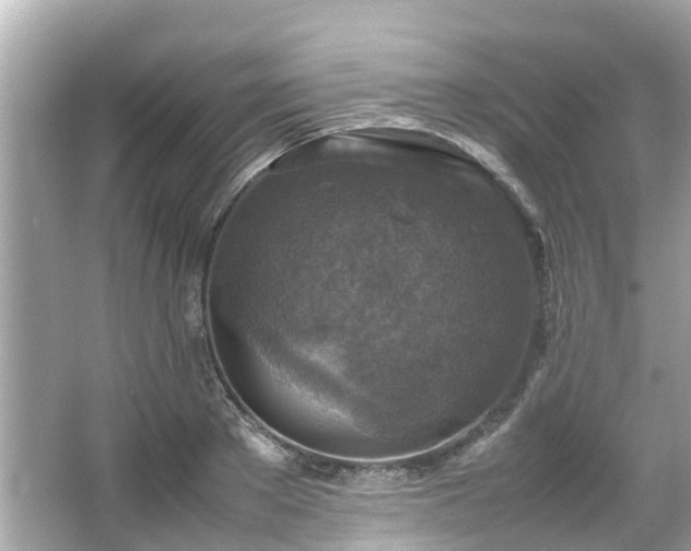 X0000066100889200603131227