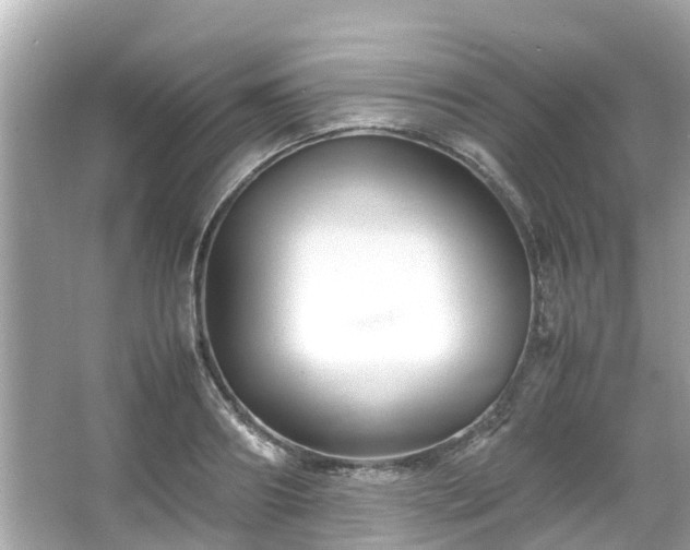 X0000066100890200603131227