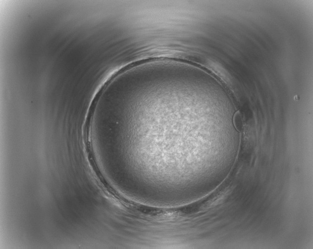 X0000066100891200603131227