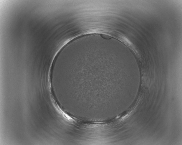 X0000066100892200603131227