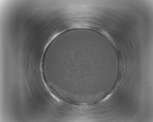 X0000066100893200603131227