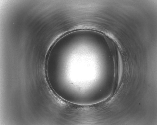 X0000066100896200603131227