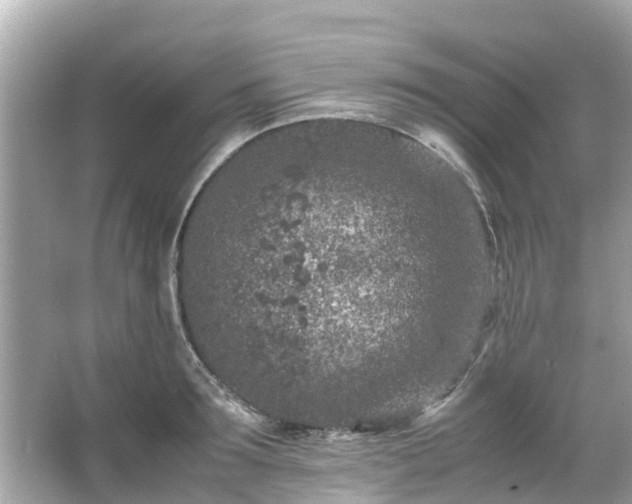 X0000066100899200603131227