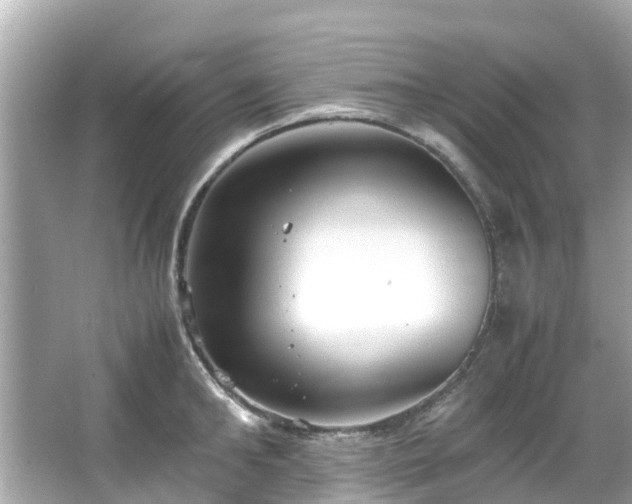 X0000066100902200603131227