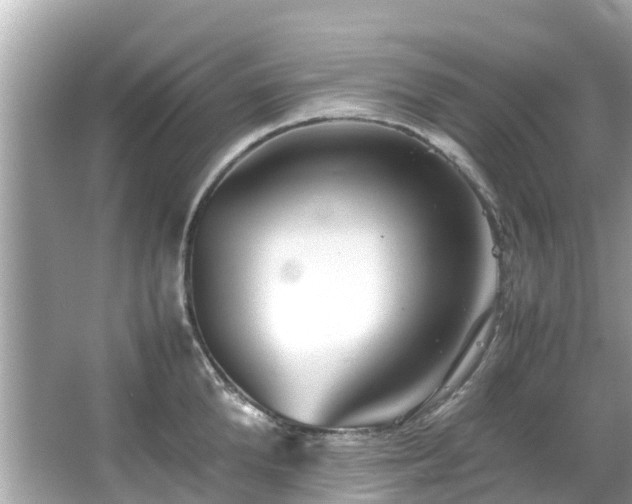 X0000066100904200603131227