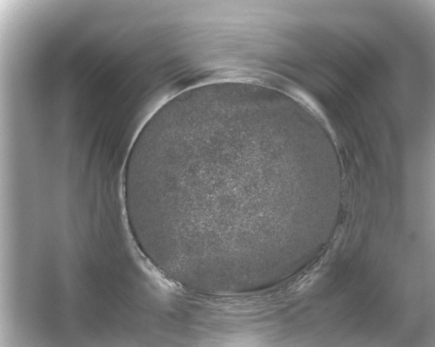 X0000066100907200603131227