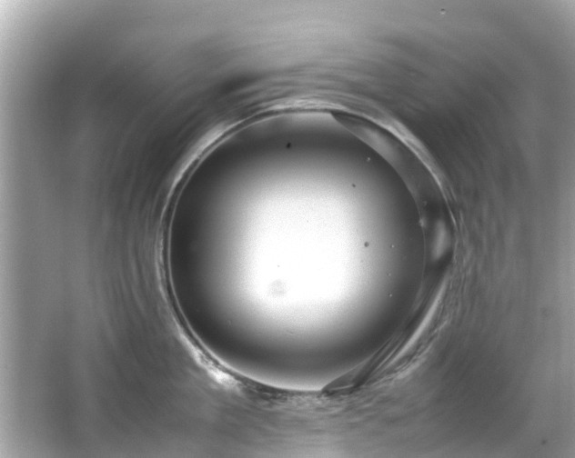 X0000066100909200603131226