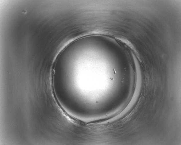 X0000066100910200603131226