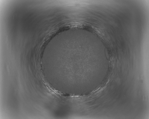 X0000066100913200603131226