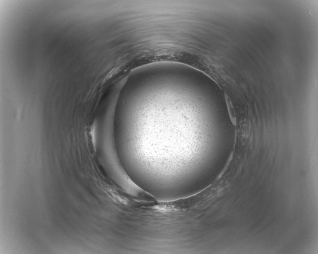 X0000066100916200603131226