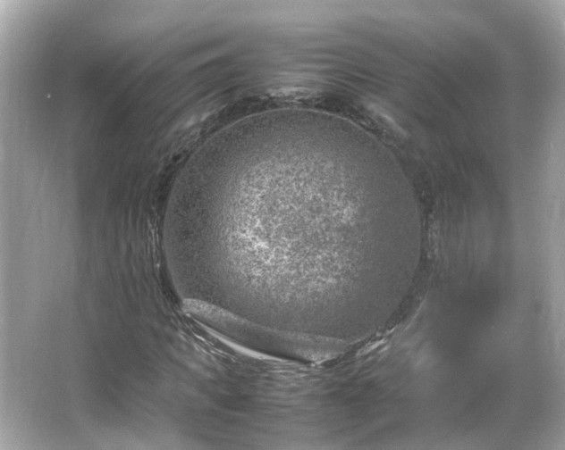 X0000066100917200603131226