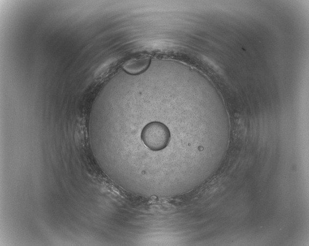 X0000066100918200603131226